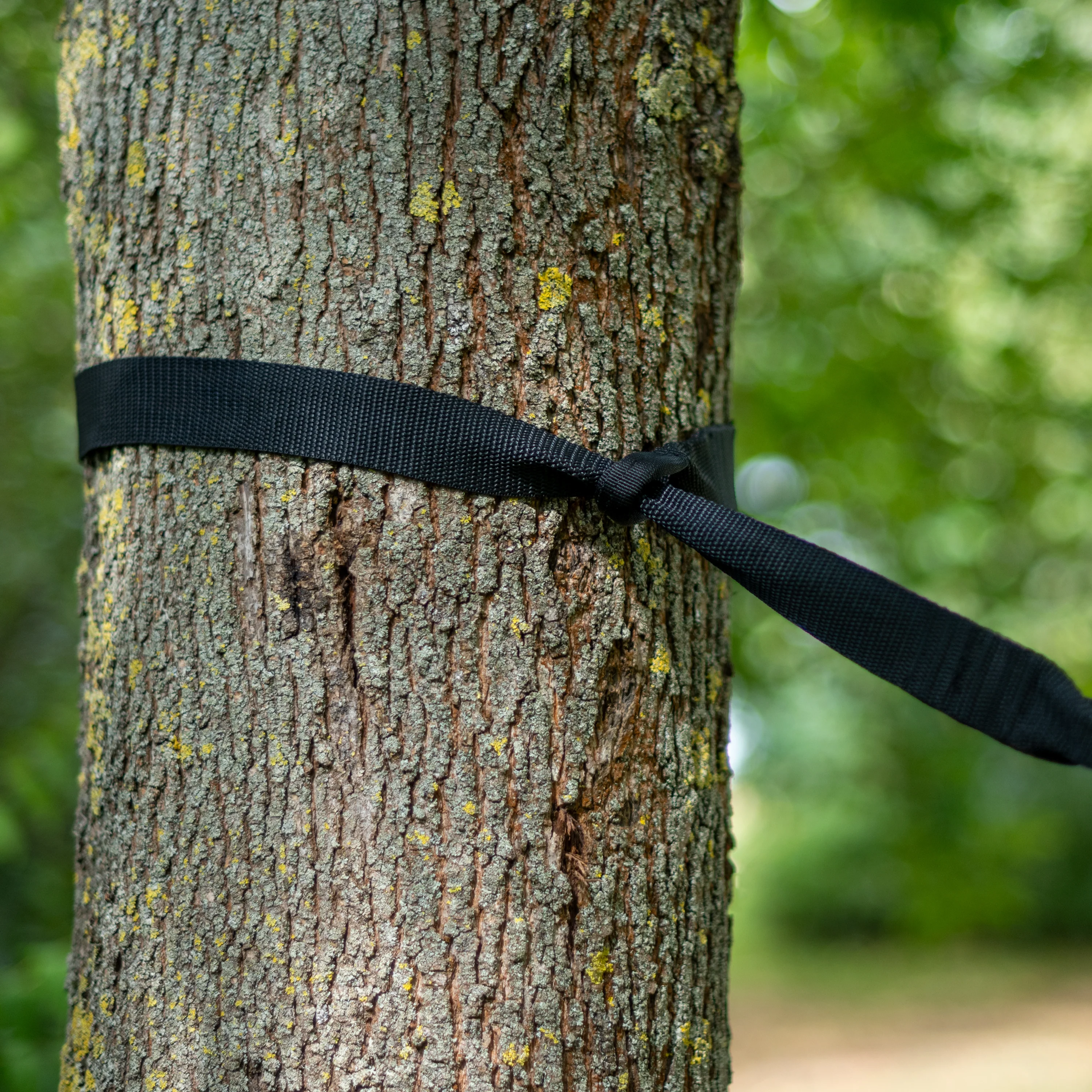 TreeMount 2rope Black - Baum- & Pfosten-Befestigung für Hängematten - Image 6
